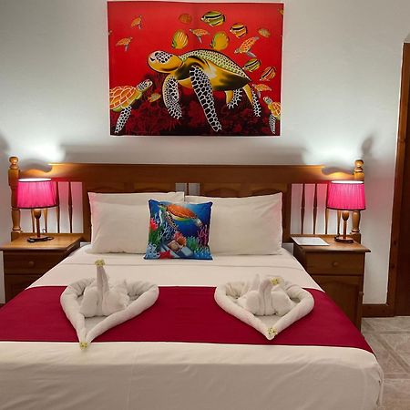 Le Chevalier Bay Guesthouse Anse Lazio Esterno foto